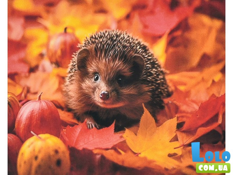 Алмазная мозаика Осень в колючках, Strateg (40х50 см)