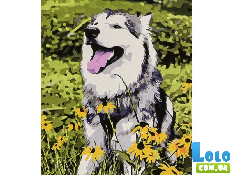 Картина по номерам Летнее настроение, Strateg (30х40 см)