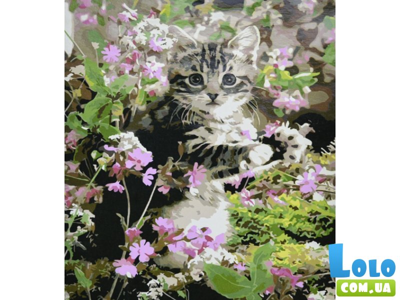 Картина по номерам Котенок в цветочках, Strateg (30х40 см)