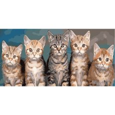Картина по номерам Котята Strateg (50х25 см)