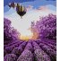 Картина по номерам Лавандовое поле, Strateg (30х40 см)