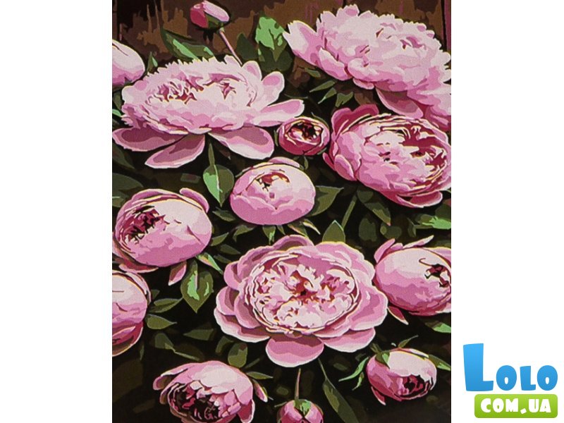 Картина по номерам Розовые пионы, Strateg (30х40 см)