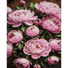 Картина по номерам Розовые пионы, Strateg (30х40 см)