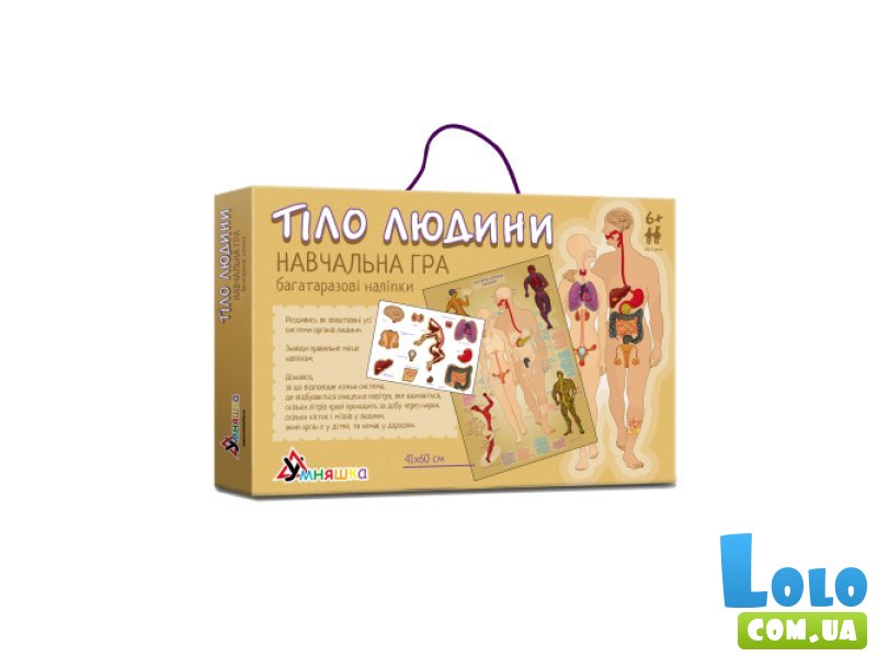 Настольная обучающая игра с наклейками Тело человека, Умняшка