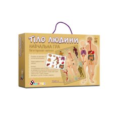 Настольная обучающая игра с наклейками Тело человека, Умняшка