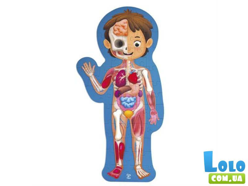 Пазл Тело человека, Hape, 60 эл.