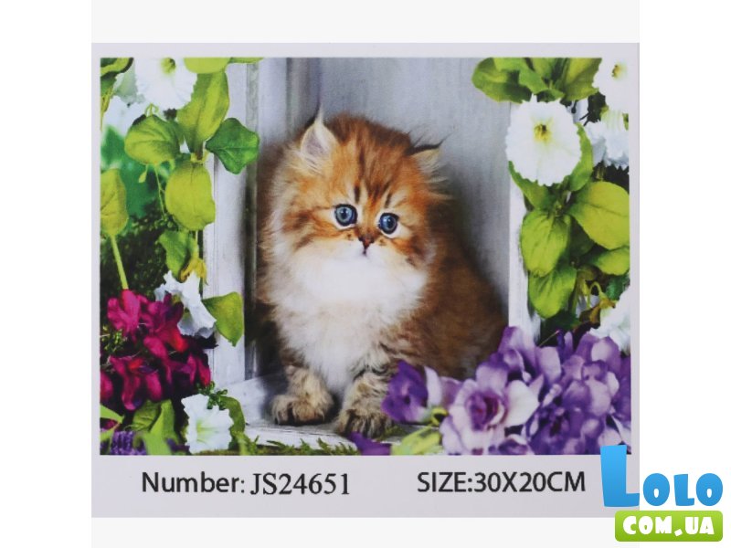 Алмазная мозаика Пушистый котенок, TK Group (30х20 см)