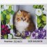 Алмазная мозаика Пушистый котенок, TK Group (30х20 см)