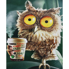 Алмазная мозаика Утренний кофе, TK Group (20х30 см)