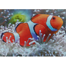 Алмазная мозаика Рыбка, TK Group (20х30 см)