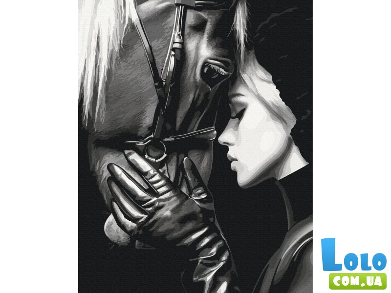 Картина по номерам Гармония душ, Brushme (40x50 см)