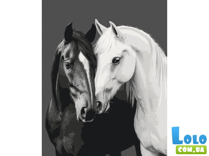 Картина по номерам Черное и белое сердце, Brushme (40x50 см)