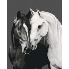 Картина по номерам Черное и белое сердце, Brushme (40x50 см)