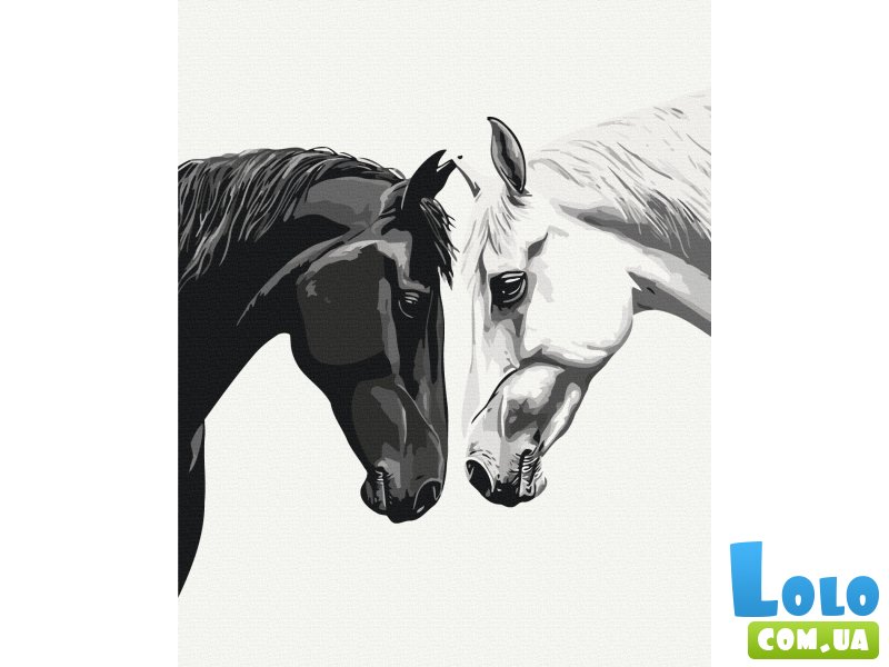 Картина по номерам Между темнотой и светом, Brushme (40x50 см)