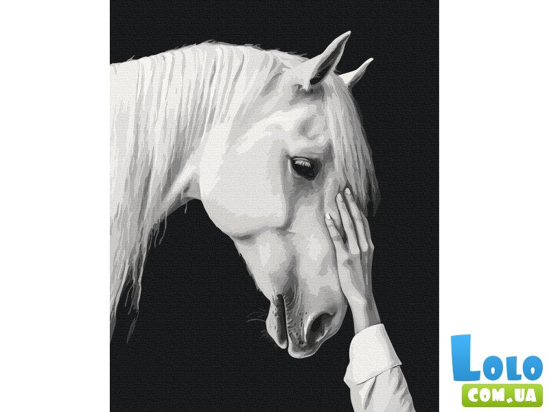 Картина по номерам Белый мираж, Brushme (40x50 см)