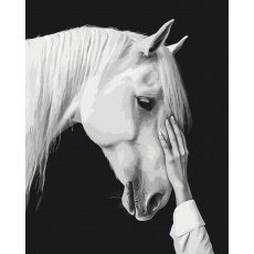 Картина по номерам Белый мираж, Brushme (40x50 см)