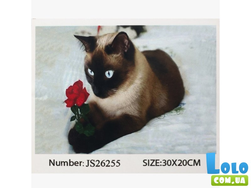 Алмазная мозаика Сиамская кошка, TK Group (20х30 см)