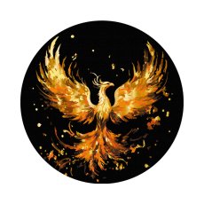 Картина по номерам круглая Огненный феникс на черном фоне, Brushme (40 см)