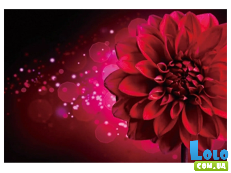 Алмазная мозаика Фэнтези, TK Group (30х20 см)