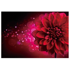 Алмазная мозаика Фэнтези, TK Group (30х20 см)