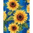 Картина по номерам Цветущие подсолнухи, Brushme (40x50 см)