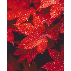 Картина по номерам Осеннее сердце в капельках, Brushme (40x50 см)