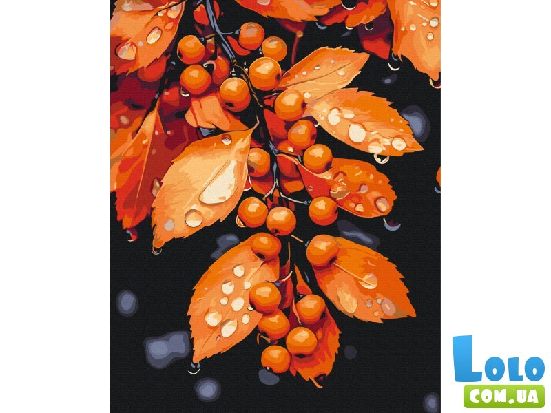 Картина по номерам Мелодия капель, Brushme (40x50 см)