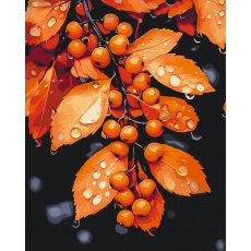 Картина по номерам Мелодия капель, Brushme (40x50 см)