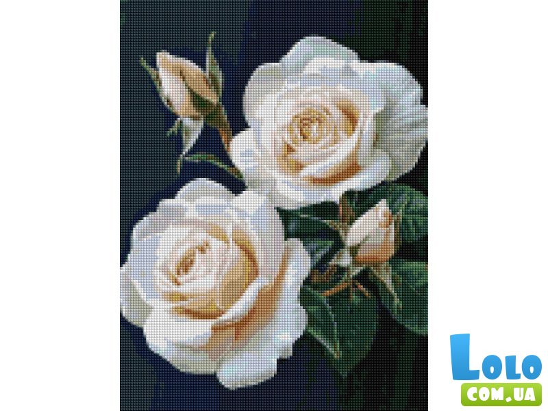 Алмазная мозаика Розы на черном фоне, Brushme (30x40 см)