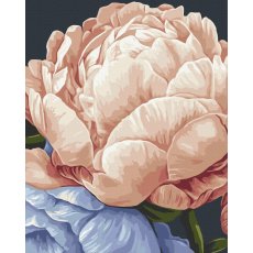 Картина по номерам Спокойствие в цветах ©Анастасия Алехина, Brushme (40x50 см)