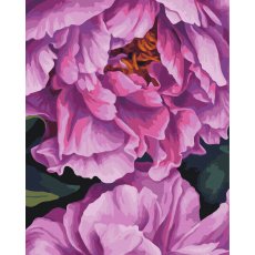 Картина по номерам В глубине лепестков ©Анастасия Алехина, Brushme (40x50 см)