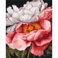 Картина по номерам Тишина в цветах ©Анастасия Алехина, Brushme (40x50 см)