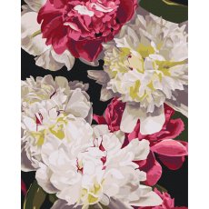 Картина по номерам В тени света ©Анастасия Алехина, Brushme (40x50 см)