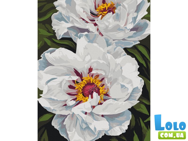 Картина по номерам Белое сияние ©Анастасия Алехина, Brushme (40x50 см)