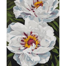 Картина по номерам Белое сияние ©Анастасия Алехина, Brushme (40x50 см)