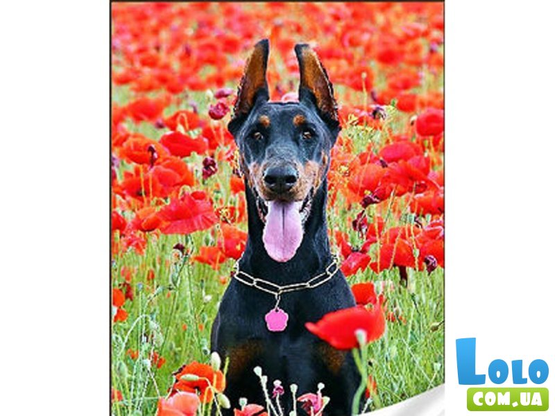 Алмазная мозаика Черный доберман, Strateg (30х40 см)