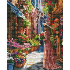 Алмазная мозаика Девушка на цветочной улице, Brushme (40x50 см)