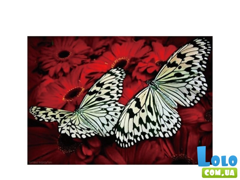 Алмазная мозаика Бабочки, TK Group (30х20 см)