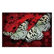 Алмазная мозаика Бабочки, TK Group (30х20 см)