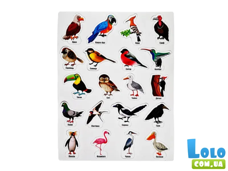 Набор магнитов Птицы, Ost