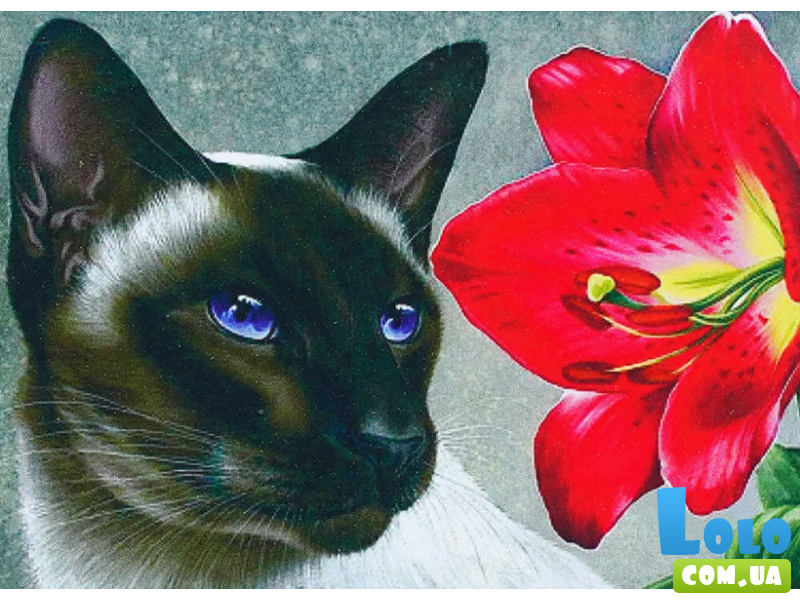 Алмазная мозаика Кот с цветком, TK Group (30х20 см)