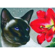 Алмазная мозаика Кот с цветком, TK Group (30х20 см)