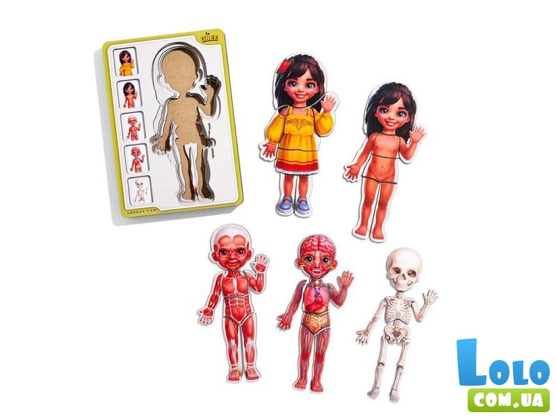 Сортер-пазл Анатомия человека - девочка, UBEE