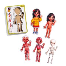 Сортер-пазл Анатомия человека - девочка, UBEE