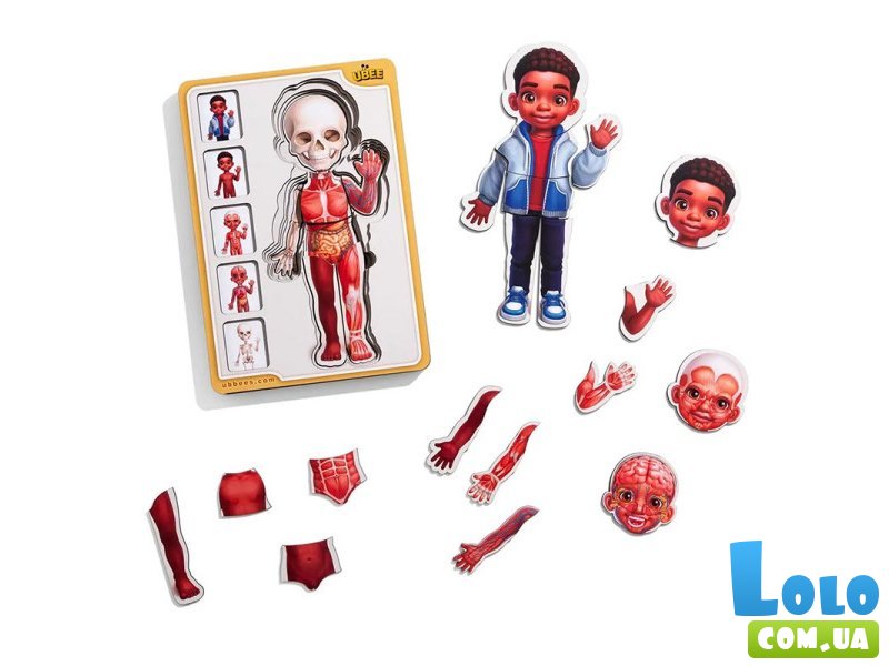 Сортер-пазл Анатомия человека - мальчик, UBEE