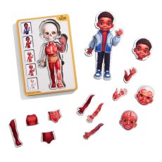 Сортер-пазл Анатомия человека - мальчик, UBEE