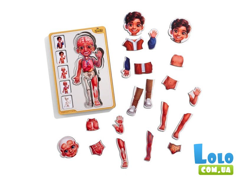 Сортер-пазл Анатомия человека - мальчик, UBEE