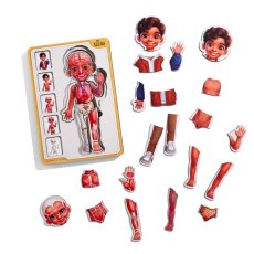 Сортер-пазл Анатомия человека - мальчик, UBEE