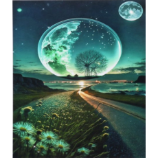 Алмазная мозаика Лунный свет, TK Group (30х40 см)