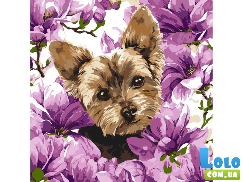 Картина по номерам Йорк в магнолии, Идейка (40х40 см)